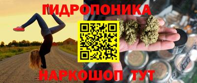 молекула духа Кинель