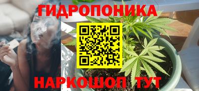 прущая мука Кингисепп