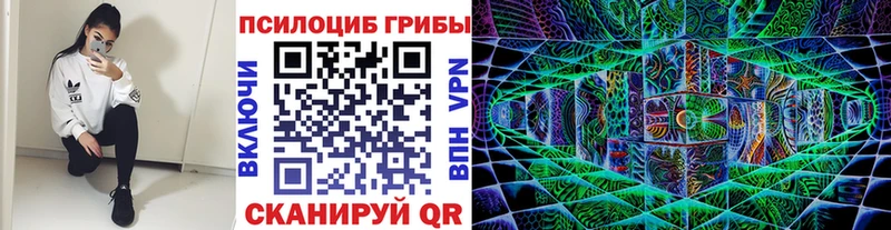 где можно купить наркотик  сайты даркнета телеграм  Псилоцибиновые грибы GOLDEN TEACHER  Элиста 