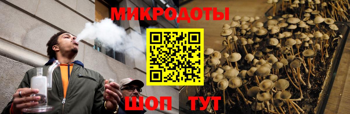 Элиста  Галлюциногенные грибы Psilocybine cubensis  дарнет шоп  Псилоцибиновые грибы мухоморы  Вход с VPN 