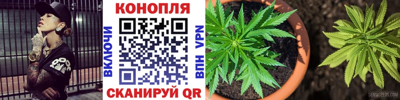 Каннабис план  Элиста 